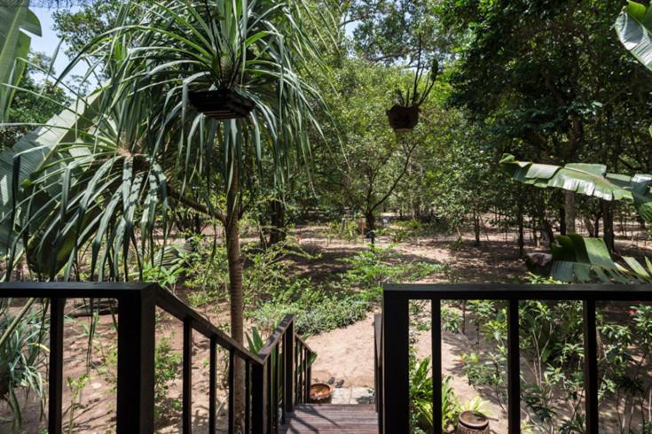 Baba Ecolodge Ko Phra Thong エクステリア 写真
